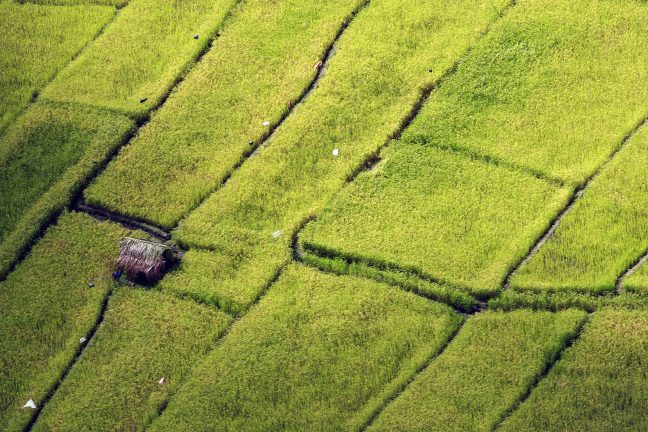 Aerial shots of Ricefields near Baucau, Timor Leste. UN Photo/Martine Perret