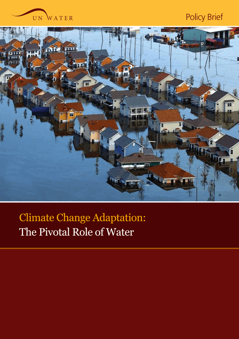 Climate Change Adaptation: The Pivotal Role of Water
