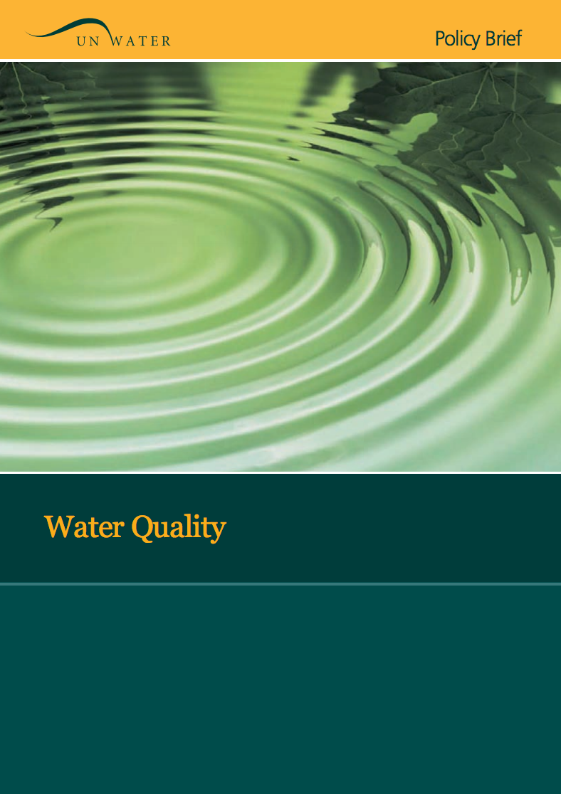 UN-Water Policy Brief: Water Quality