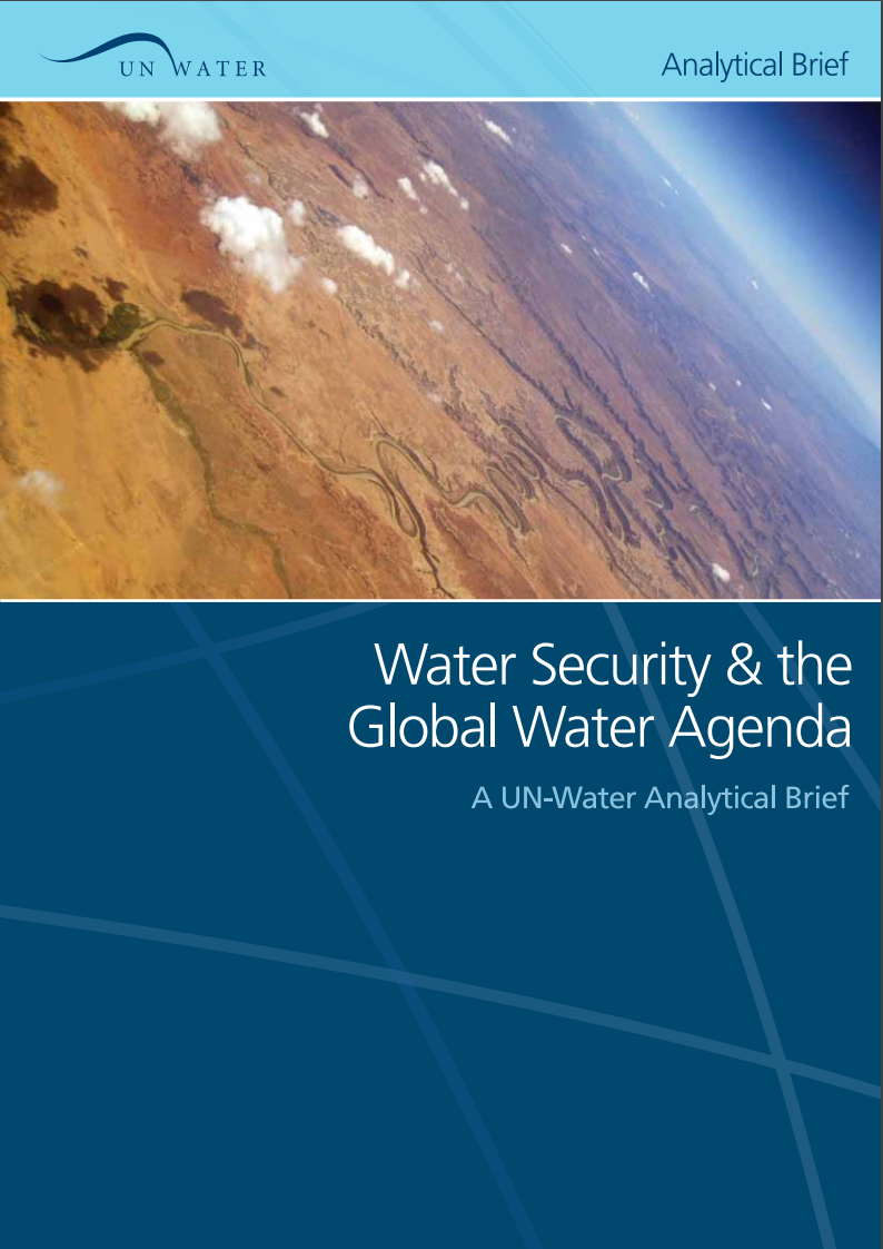 Water Security and the Global Water Agenda
