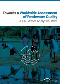Towards a Worldwide Assessment of Freshwater Quality