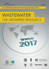 World Water Development Report 2017