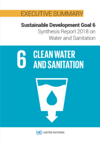 Executive Summary – SDG 6 Synthesis Report 2018 on Water and Sanitation