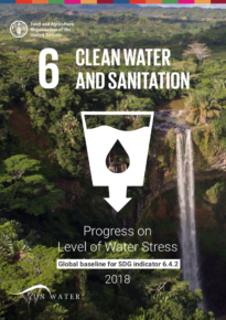 Progress on Level of Water Stress – Global baseline for SDG indicator 6.4.2